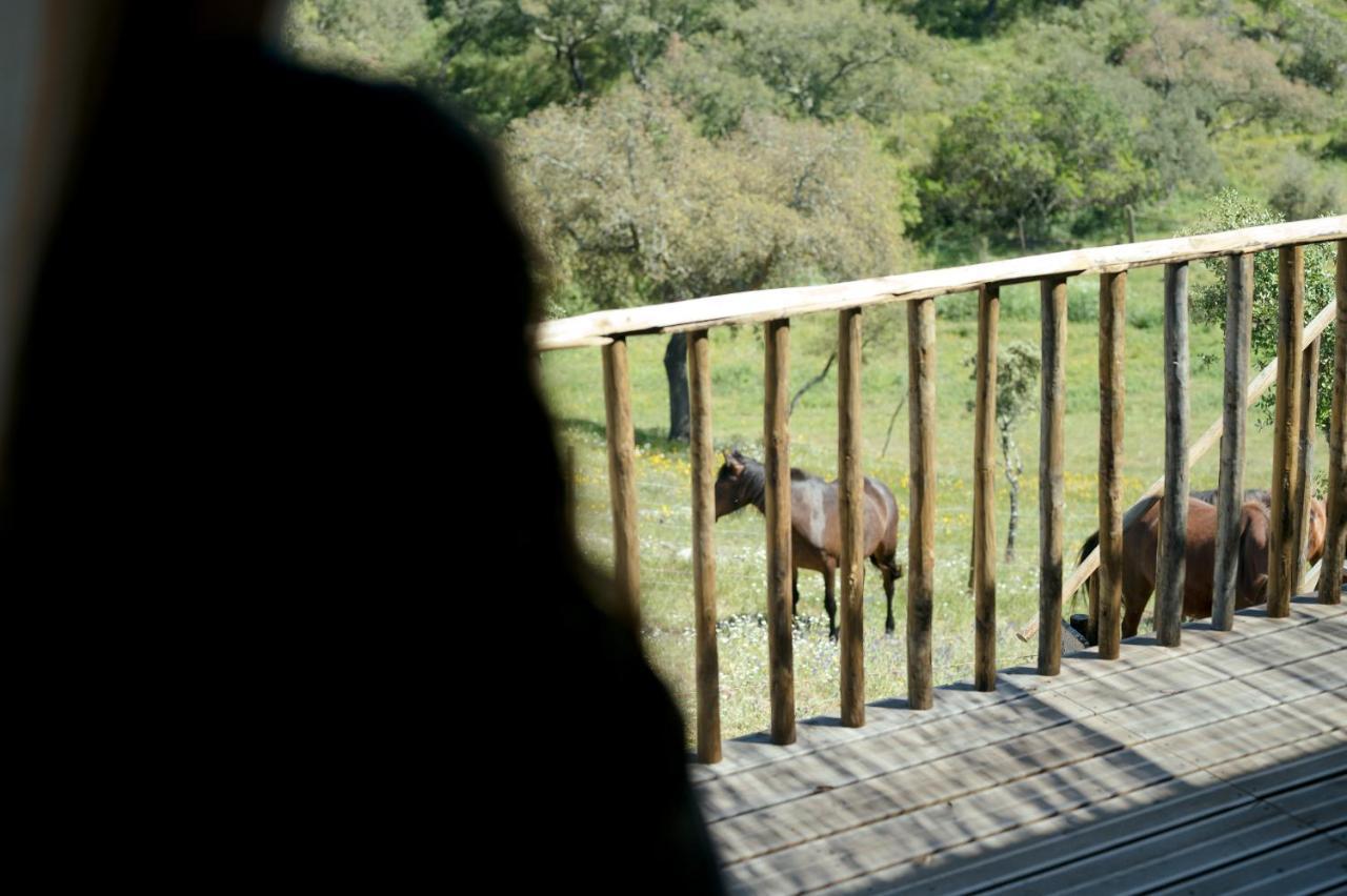 Monte Gois Country House E Spa Curvatos ภายนอก รูปภาพ