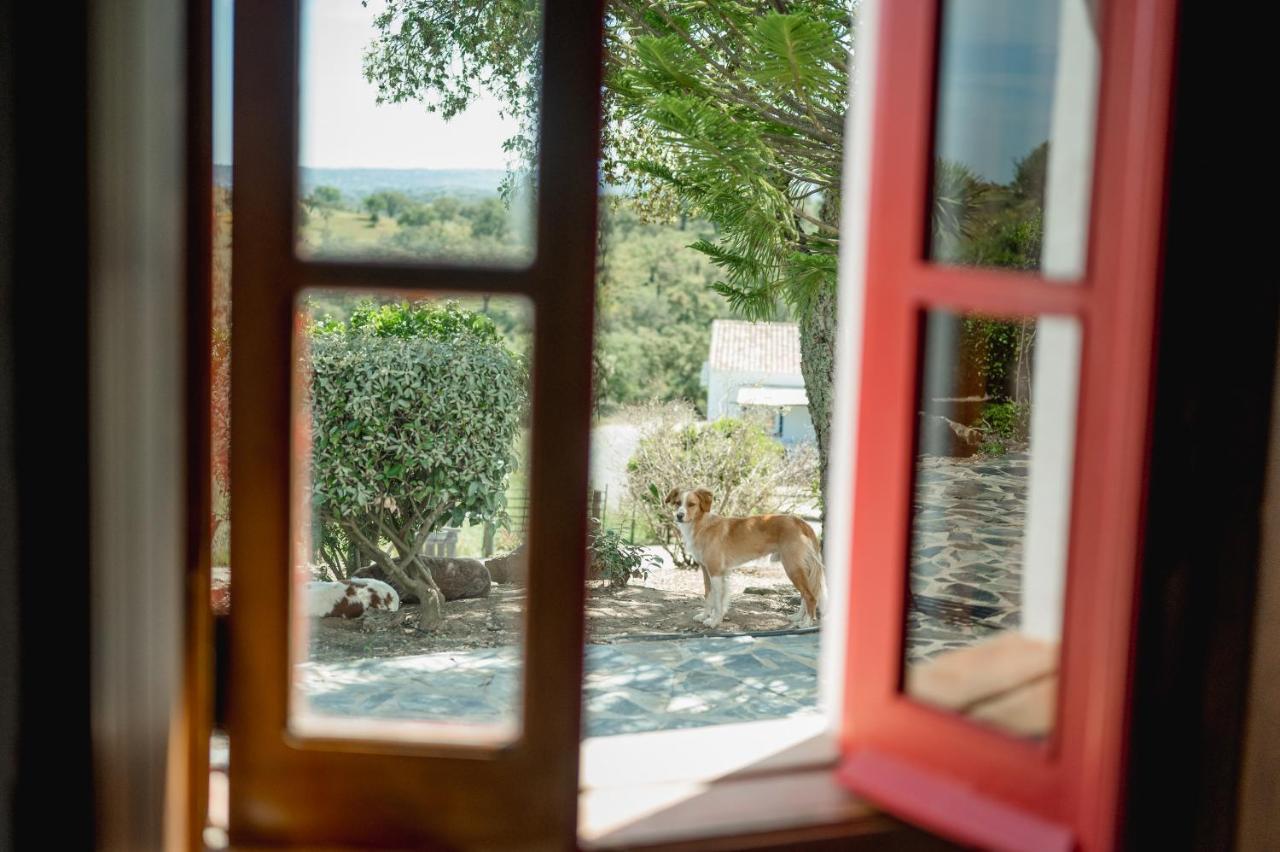 Monte Gois Country House E Spa Curvatos ภายนอก รูปภาพ