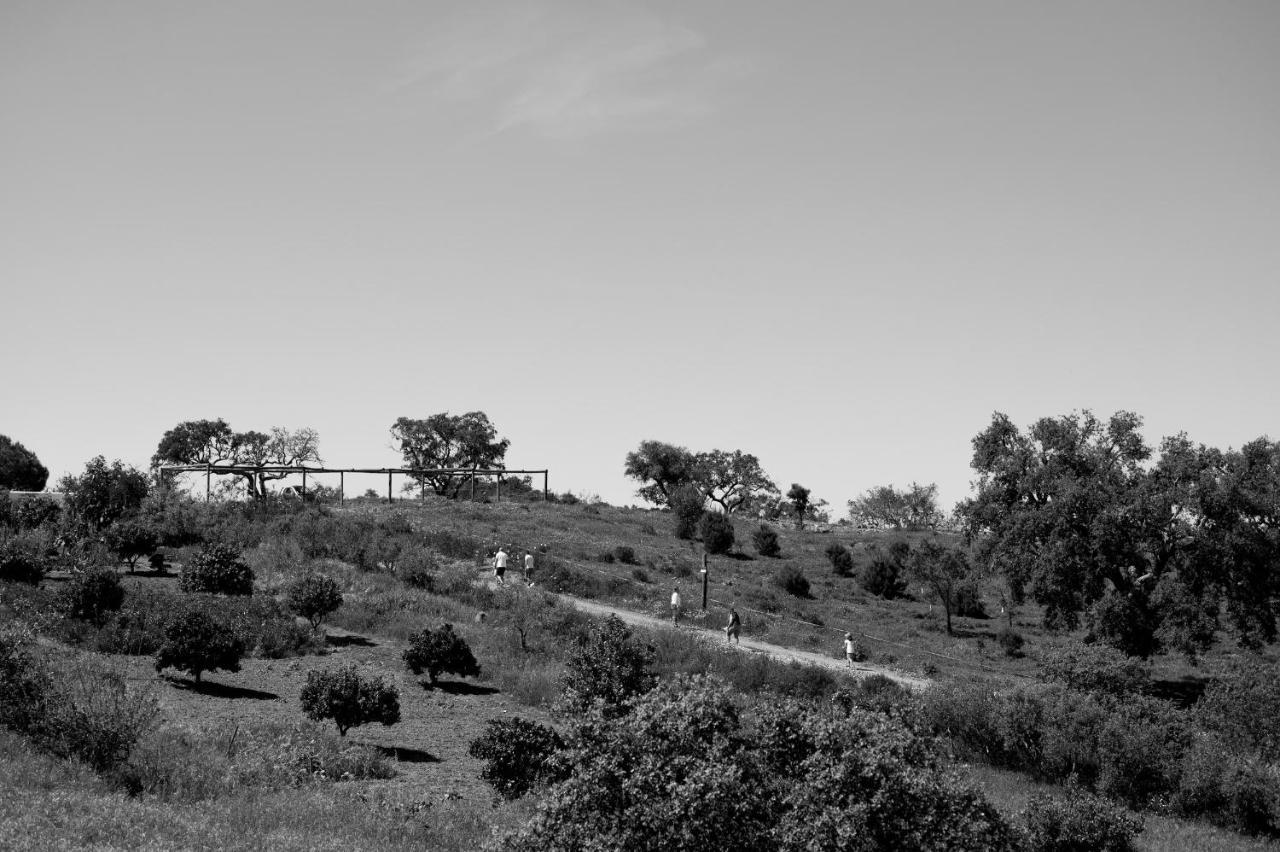 Monte Gois Country House E Spa Curvatos ภายนอก รูปภาพ